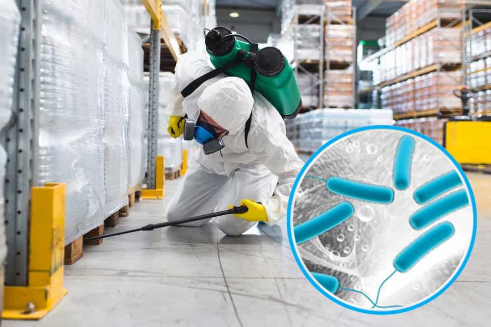 Servicio de sanitización